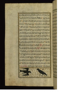 Two Swallows