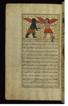 Two-winged Creatures of Vaynah (Vinah?) Island