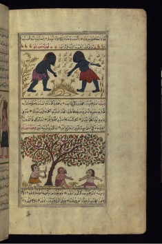 Inhabitants of Damini and Vaynah (Vinah?) Islands