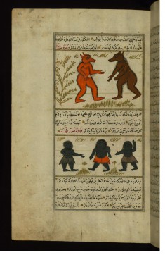 Two Jinni of Aturan Island and Three Pygmies Found in the Sea