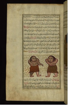 Two Neckless Inhabitants of Hanah Island