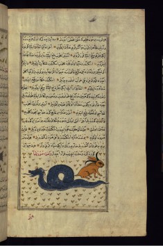 Dragon of Tannin Island and Horned Rabit
