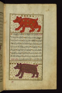 Ursa Minor and Ursa Major