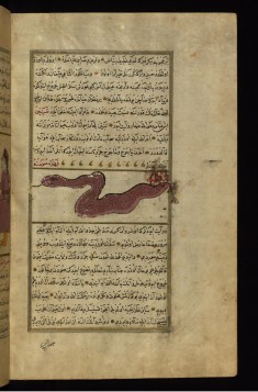 A Dragon of the Caspian Sea