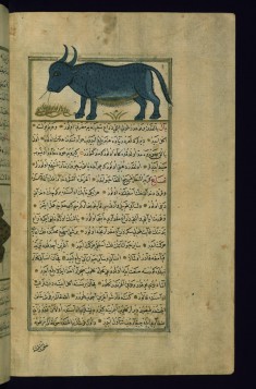 A Bull of the Sea