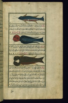 Three Fish