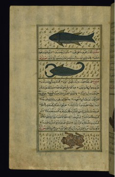 Two Fish Called Sayut and Saqnin and a Frog