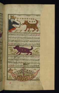 Canis Major, Canis Minor, and Argo