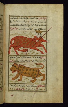 Centaurus and Lupus