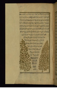 Colophon