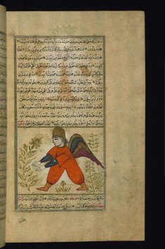 The Angel Rawya'il