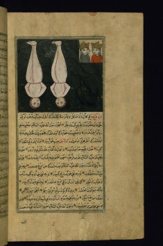 The Angels Harut and Marut Hanging as a Punishment for Being Critical of Adam?s Fall