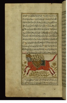 Buraq (the Prophet Muhammad's Horse)