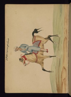 Riding a Horse in Training