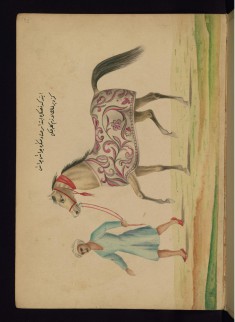 Leading a Horse with Quick Steps, Then Slowing Down