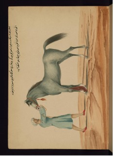 Removing a Leech from a Horse?s Mouth