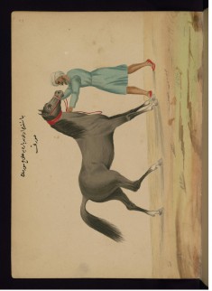 Bandaging the Head of a Horse