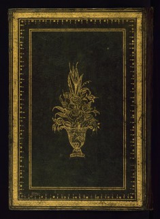 Book on Horses