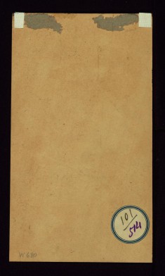 A Young Man with a Flower (Back)