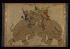 Single Leaf of Elephant Combat
