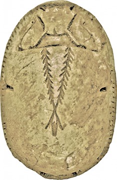 Scarab Amulet