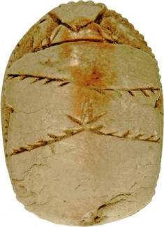 Scarab Amulet