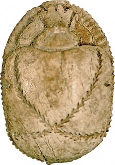 Scarab Amulet