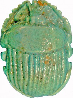 Naturalistic Scarab