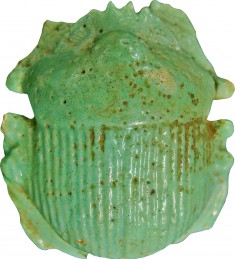 Naturalistic Scarab