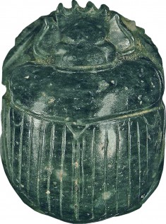 Scarab