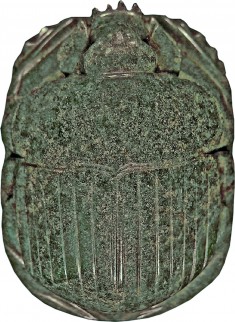 Scarab