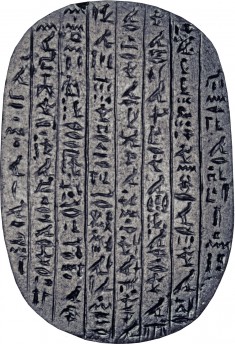 Heart Scarab