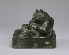 Bear in a Trough