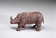 Rhinoceros