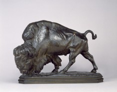 Buffalo
