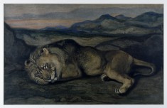 Large Lion