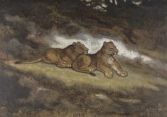 Two Lion Cubs