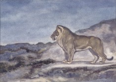 Standing Lion