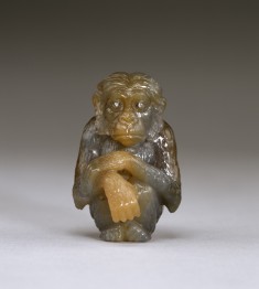 Chimpanzee