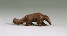 Anteater