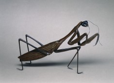Articulated Praying Mantis