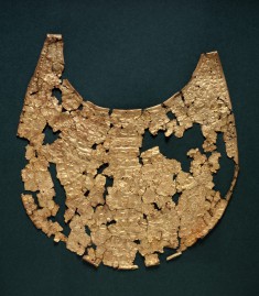 Pectoral