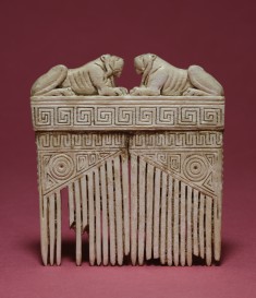Comb with Lions and Geometric Designs