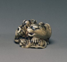 Tigress with Two Cubs