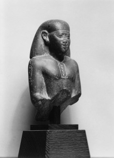 Head and Torso of a Seated Man