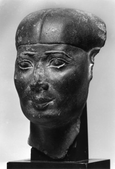 Head of a Man
