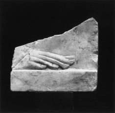 Model of a Human Foot