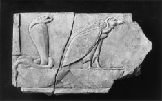 Model with a Vulture and a Human Bust