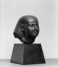 Male Head