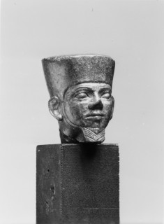 Head of Amun